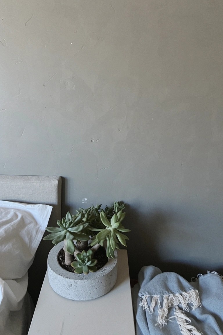 Bedroom corner with pale gray walls, concrete pot of succulents on white bedside table, white bedding on low bed, and turquoise throw draped nearby